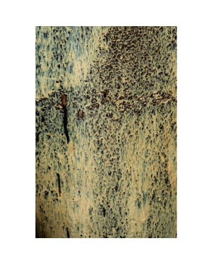 PTMD pot lisie - 71x71x160cm