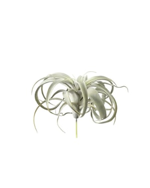 PTMD kunstplant succulent - 18x24x25cm