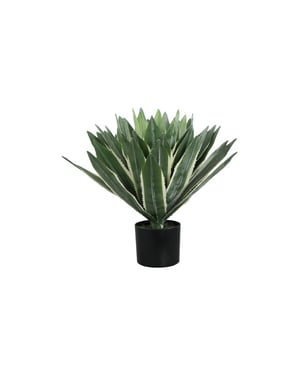PTMD kunstplant succulent - 70x70x50cm