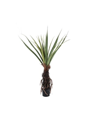 PTMD kunstplant tree - 130x130x150cm