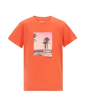 Regatta Childrens/Kids Bosley Palm Tree T-Shirt (Rusty Orange)