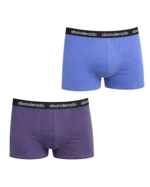 Pack of 2 Men's Elastic Cotton Boxers AA596