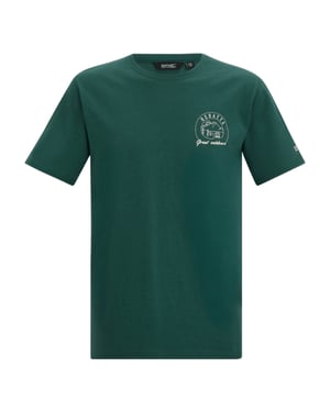 Regatta Mens Cline IX Sunrise T-Shirt (Mediterranean Green)