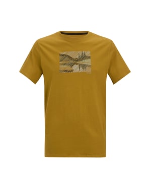 Regatta Mens Breezed Landscape T-Shirt (Wood Brown)