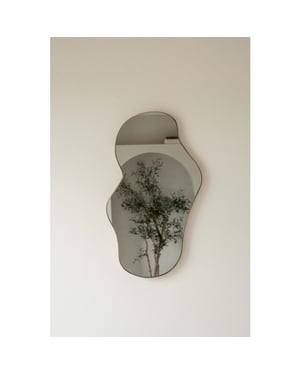 Indore Home spiegel organische vorm asymmetrisch wandspiegel 60cm -