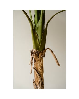 Indore Home Indore silva kunstplant banaan 120cm