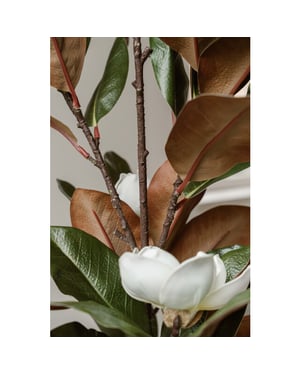 Indore Home Indore silva kunstplant magnolia 120cm
