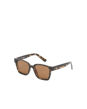 Jack & Jones Heren zonnebril jacpontus bruin/zwart