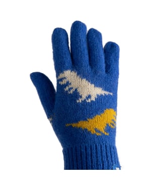 Trespass Kinder/Kids Casper Handschoenen (Blauw)