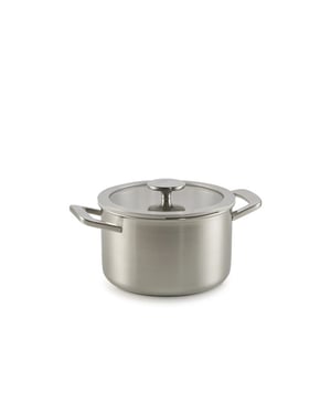 Habonne Allure downdraft rvs 5ply kookpan 20cm