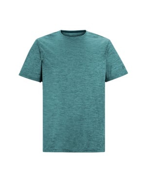 Regatta Heren Fingal Edition Marl T-Shirt (Arctic)