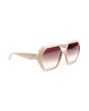 Ana Hickmann Sunglasses AH9426 D02 60