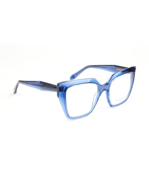 Ana Hickmann Optical Frame AH6588 T02 55
