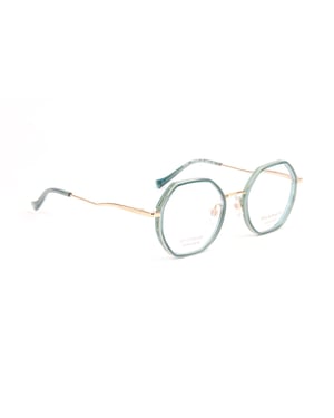 Ana Hickmann Optical Frame HIY1027T T01 48 Titanium