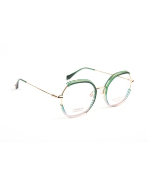 Ana Hickmann Optical Frame HI1279T C02 50 Titanium