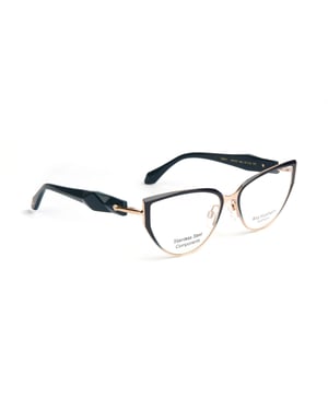 Ana Hickmann Optical Frame AH1539 06A 55