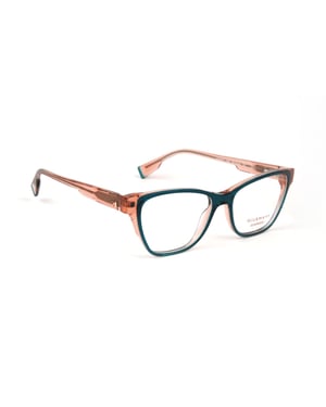 Ana Hickmann Optical Frame HIY6017 H02 50