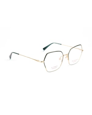 Ana Hickmann Optical Frame HI1261GT 12A 52 Titanium
