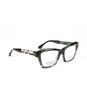 Ana Hickmann Optical Frame AH6580 E01 53
