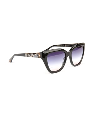Ana Hickmann Sunglasses AH9430 A01 55