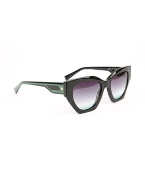 Ana Hickmann Sunglasses HI9221 E01 53