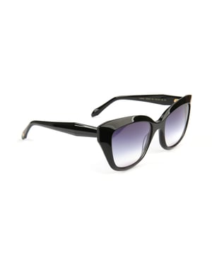 Ana Hickmann Sunglasses AH9454 A01 53