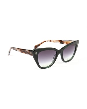 Ana Hickmann Sunglasses AH9437 E01 53