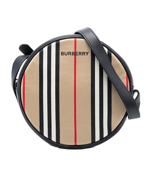 Pre-owned Icon Stripe Canvas Louise Crossbody