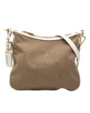 Pre-owned Canvas Canapa Logo Crossbody