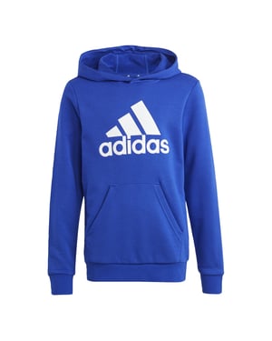 Big Logo Essentials Cotton Hoodie