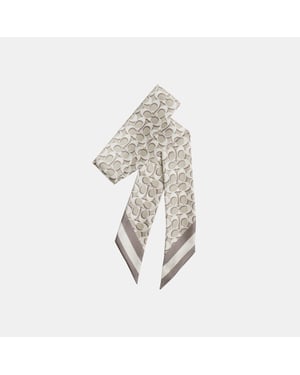 Signature Silk Skinny Scarf