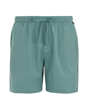 Regatta Mens Hadlin Shorts (Arctic)