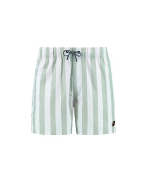Shiwi men swimshort broad stripe 1441100200 7810 green dust stripe
