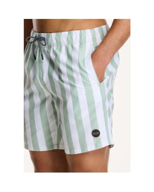Shiwi 1441100200 broad stripe 7810 green dust stripe swim short
