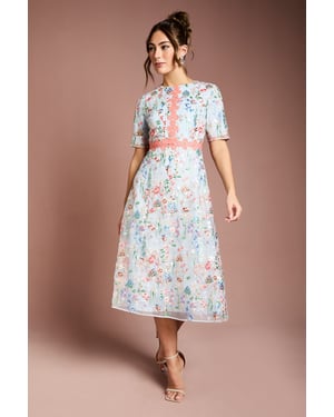 Embroidered Floral With Laid On Lace Midi Dress