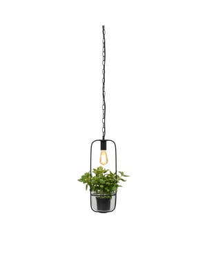 It's about RoMi Hanglamp florence - 19x19x52cm