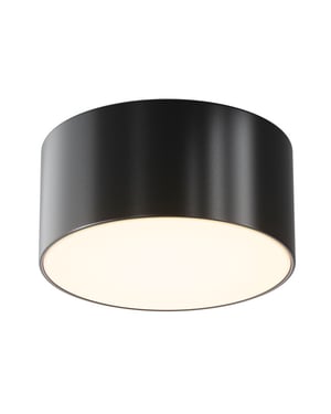 Maytoni Outdoor plafondlamp zon ip - Ø12