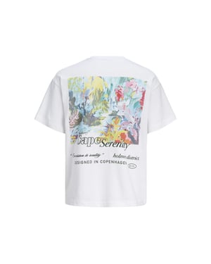 Jack & Jones Jormontauk back graphic tee sscn ea