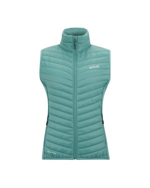 Regatta Dames/Dames Andreson Hybride Gilet (Ivy Mos)