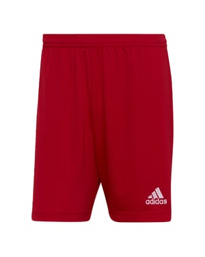 Entrada 22 Shorts