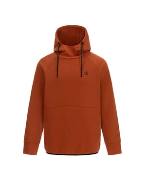 Dare 2B Ollie Hoodie för herrar (Arabisk krydda)