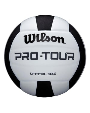 Wilson Pro Tour White/Black Volleyballs