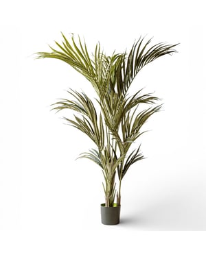 Indore Home Indore silva kunstplant kentia palm 180cm