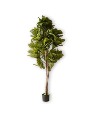 Indore Home Indore silva kunstplant vijg 150cm