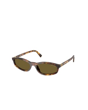 Miu Miu Sunglasses Brown/Tortoise