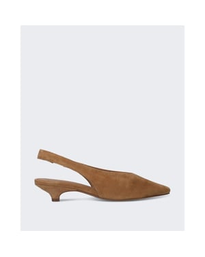 Toral Dames lenore