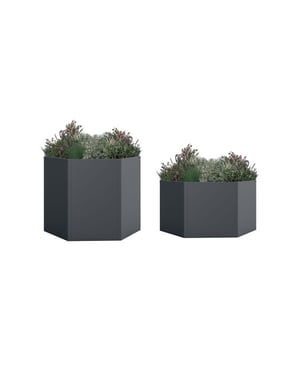 Westmann Varia verhoogde plantenbak set 2 stuks zeshoekig metaal 52 en 77 cm
