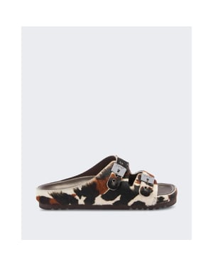 Scholl Dames kim