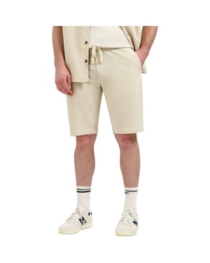 No Excess Short chino jacquard uni desert