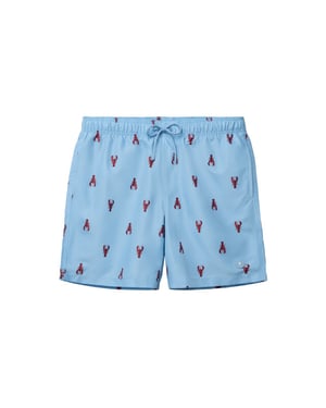 Shiwi Heren zwemshort mike 7" kreeft print blauw/rood